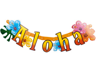 sign Hawaii “Aloha” with hibiscus, cardboard, for hanging, h 20cm, l 83cm
