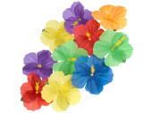 Blüten "Hawaii" Hibiscus, zum Streuen, 24...