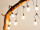 PRO-PartyLight "filament", 31V, 10 ampoules, l 5m, distance entre les ampoules 50cm, série ExConnect31