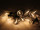 PRO-PartyLight "filament", 31V, 10 ampoules, l 5m, distance entre les ampoules 50cm, série ExConnect31