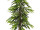arbre "Longifolia Deluxe", vert/brun, ignifugé B1, div. tailles