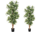 tree “Dracaena Reflexa”, green/brown, flame...