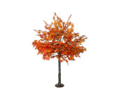 Ahornbaum XL, herbstbunt, H 180cm, Ø 130cm