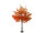 maple tree XL, autumn colored, h 180cm, Ø 130cm