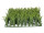 Grasplatte mittelhoch grasgrün