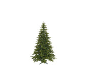 sapin "Premium MIX", mélange PE-Luvi, h...