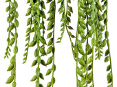 suspension de pois longue, verte, l 85cm, B1 ignifuge
