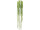 Long pea hanger, green, L 85cm, B1 flame retardant
