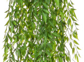 Weiden-Hänger, grün, L 125cm, B1 schwer...