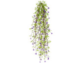 plante à suspendre avec fleurs, vert/violet, h...