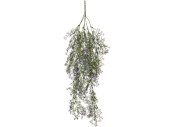 Hängeepflanze mit Blüten, grün/lila, H...