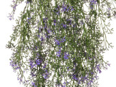 plante à suspendre avec fleurs, vert/violet, h...