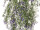 hanging plant with flowers, green/purple, h 65cm, B1 flame retardant, UV-resistant