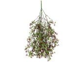 plante à suspendre avec fleurs, vert/rouge, h...