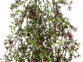 plante à suspendre avec fleurs, vert/rouge, h...