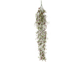 plante à suspendre avec fleurs, vert/rouge, h...
