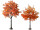 Ahornbaum XL, herbstbunt, versch. Grössen