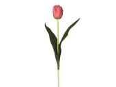 tulip pink 50cm