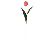 tulip pink 50cm