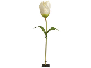 tulipe XL 135cm blanc
