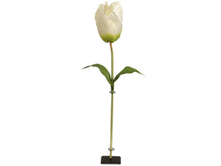 Tulpe XL 135cm weiss