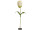 tulipe XL 135cm blanc