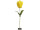 tulipe XL 135cm jaune