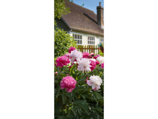 Textilbanner "Pfingstrosen mit Haus", grün/pink/weiss, 75 x 180cm, Schlauchnaht oben+unten