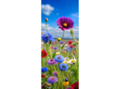 Textilbanner "Wildblütenwiese"...