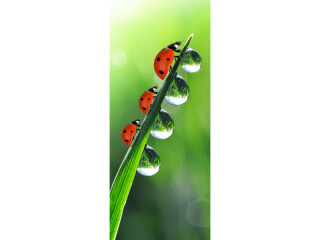 textile banner “ladybug on a blade of grass,” green/red, 75 x 180cm, tubular seam at top and bottom