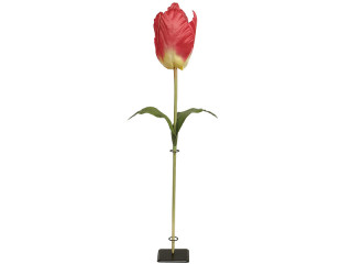 tulipe XL 135cm rouge