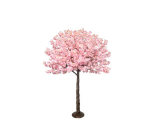 cerisier XL, rose-brun, h 180cm, Ø 130cm