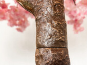 cerisier XL, rose-brun, h 180cm, Ø 130cm