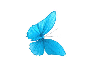 Schmetterling "Papier", blau, 30 x 23cm