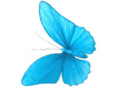 Schmetterling "Papier", blau, 50 x 36cm