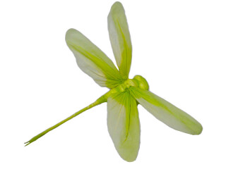 dragonfly flying paper, green, 40 x 35 x 6cm
