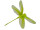 dragonfly flying paper, green, 40 x 35 x 6cm