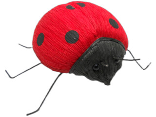 coccinelle en papier rouge/noir, grande, 22 x 18 x h 14cm