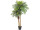 Phönixpalme 2-stämmig, H 195cm, getopft, 55 Blätter