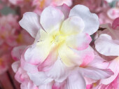 cherry blossom tree XL, pink-brown, var. sizes
