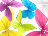Schmetterling "Papier", versch. Farben und...
