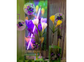 Krokus 2-fach XL 100cm versch. Farben