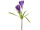 crocus double XL 100cm purple