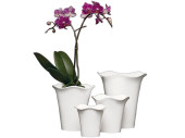 vase porcelaine "ROSE" blanc h 9cm, Ø en haut 10cm, en bas 5,5cm