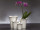 vase porcelain "ROSE" white h 9cm, Ø top 10cm, bottom 5,5cm