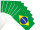 Fähnchen "Brasilien" 20 Stück