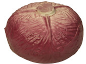 cabbage "natural" 16cm red