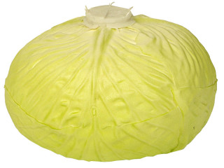 cabbage "natural" 16cm green