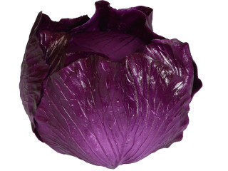 chou "natural" 18cm rouge