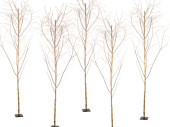 Birkenbäume mit Ästen 5er Set